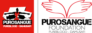 purosangue